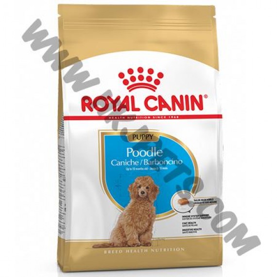 Royal Canin Poodle Junior 貴婦幼犬糧 (3公斤)