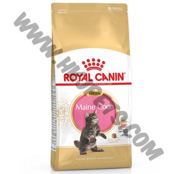 Royal Canin 緬因貓 幼貓配方 (10公斤)