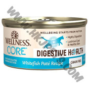 Wellness CORE Digestive 白魚配方 (3安士)